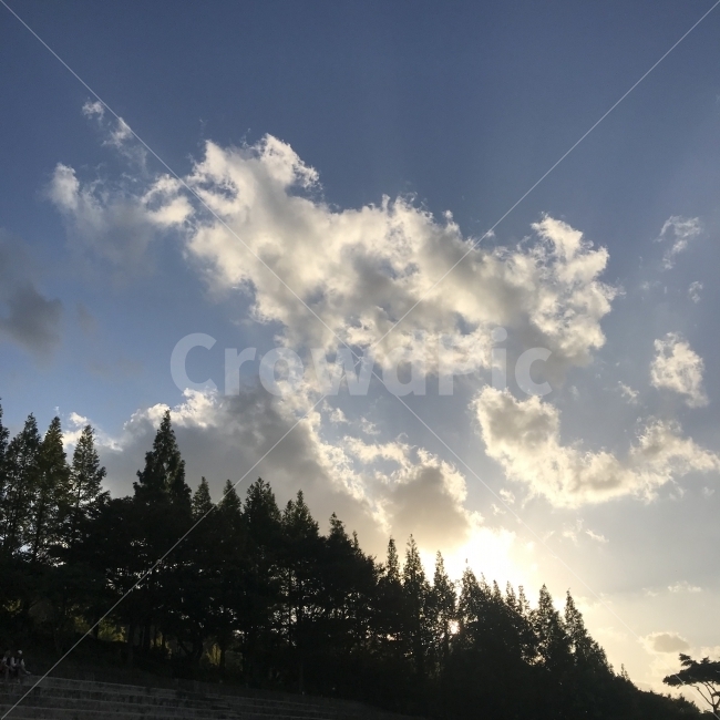 하늘,노을,구름,산,해,햇빛,warm,tree,sky,sunset,sun,cloud,mountain,자연,풍경,nature,landscape,나무,plant,식물,fir,전나무,outdoors,옥외