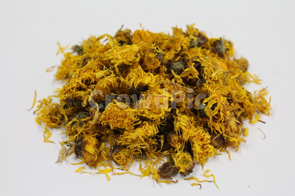 국화,감국,국화차,한약,보약,한의원,한방병원,한의사,한방,한의학,자양강장제,herb,tonic,koreanmedicine,orientalmedical,한약재,약재,약초,한국전통,한국문화,korean traditional,korean culture,의료,의학,병원,medical,hospital,clinic