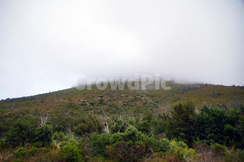 구름,산,언덕,남아공,나무,숲,cloud,sky,자연,풍경,nature,landscape,outdoors,옥외,hill