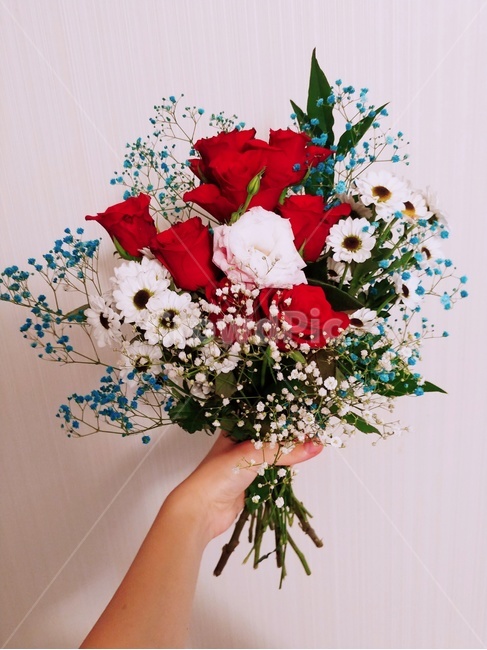 꽃,꽃다발,붉은장미,안개꽃,꽃을든,손,붉은,flower,rose