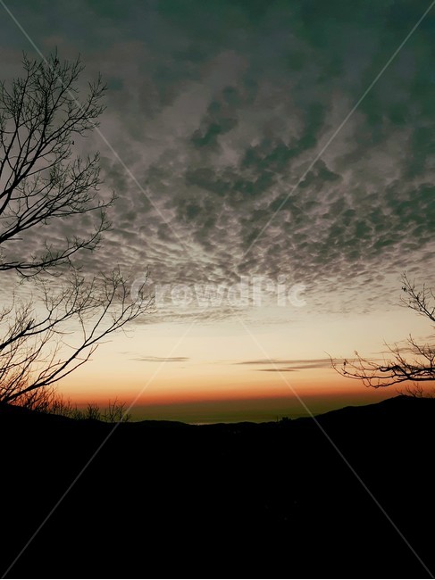 2019년,해돋이,산,새벽,기다림,겨울,구름