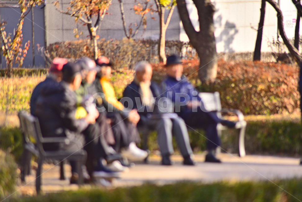 노인,노인네,사람들,장년,노년,silver,노인문제,고령화사회,공원,파크,야외,옥외,outdoor,초고령사회,배경,바탕,백그라운드,사회문제,실버세대,무료함,사람,인물,인간,human,person,노인,어르신,old man, senior citizen