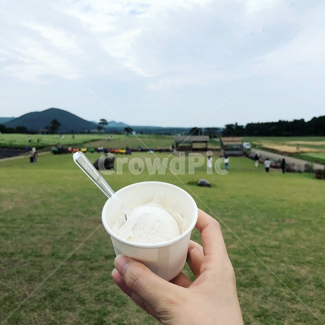 제주도,보롬왓,아이스크림,여름,여행,제주,jeju,icecream,summer,travel,food,dessert,음식,디저트,자연풍경