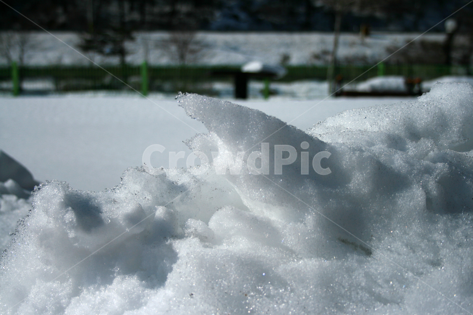 겨울,눈,snow,winter,마당,겨울,계절,winter,season