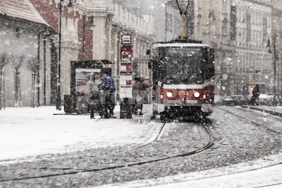 눈,겨울,전차,거리,정류장,겨울,계절,winter,season,도시,풍경,city,landscape