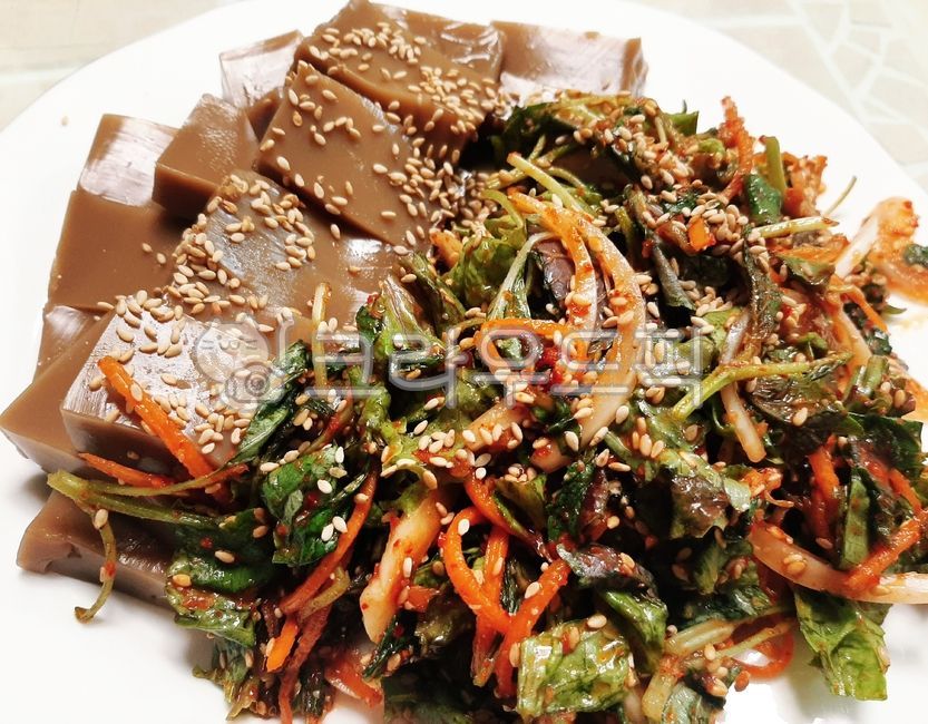 도토리묵,묵무침,상추,한국요리,겉절이,접시,당근,한식,깨소금,묵,한국음식,식재료,신선한,샐러드,싱싱한,참깨,매운,고추가루,양념장,양파,도토리무침