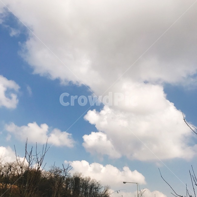 하늘,구름,풀,식물,blue,cloud,바람,sky