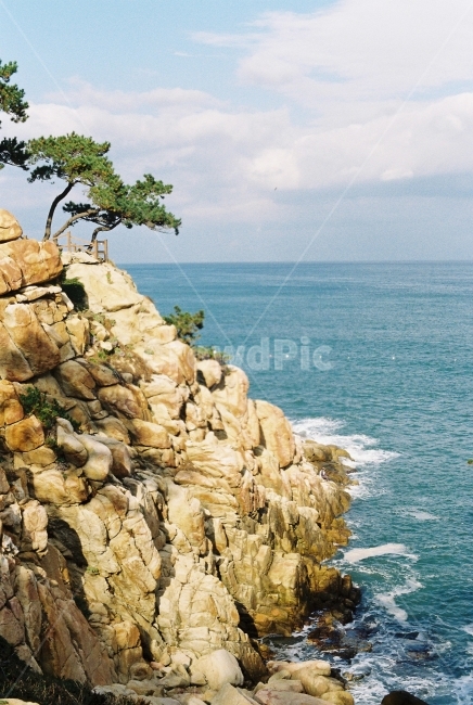 하늘,바다,자연,바위,동해,자연,풍경,nature,landscape,한국자연풍경,한국자연경관,korea nature landscape,promontory,곶,outdoors,옥외,cliff,낭떠러지