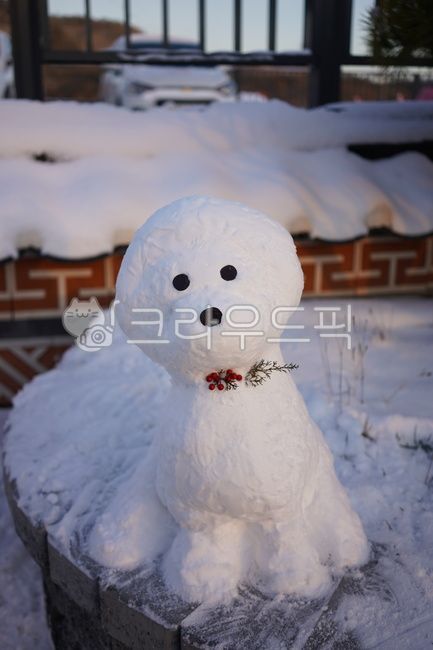 자연,snow,눈,snowman,눈사람,winter,겨울,멍멍이,puppy,강아지눈사람,반려견,강아지,창의적,겨울,계절,winter,season