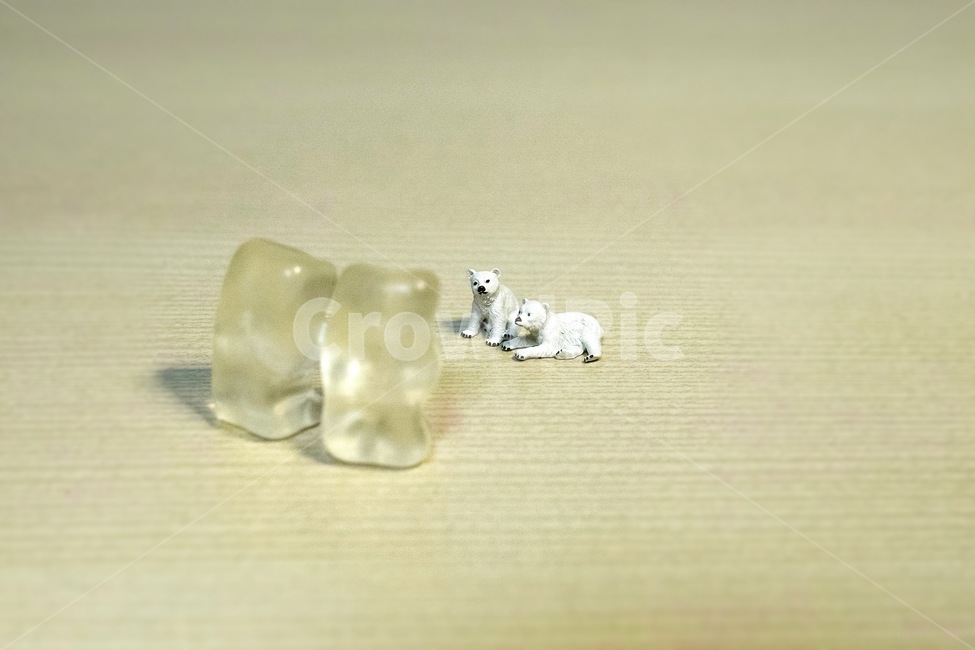 곰,아기곰,plasticpeople,젤리,미니어처,만남,유머,젤리곰,동병상련,조각상,동상,석상,조형물,statue,bronze statue,stone statue,사물,물건,오브젝트,thing,object,matter,연출,컨셉,콘셉,direction,concept