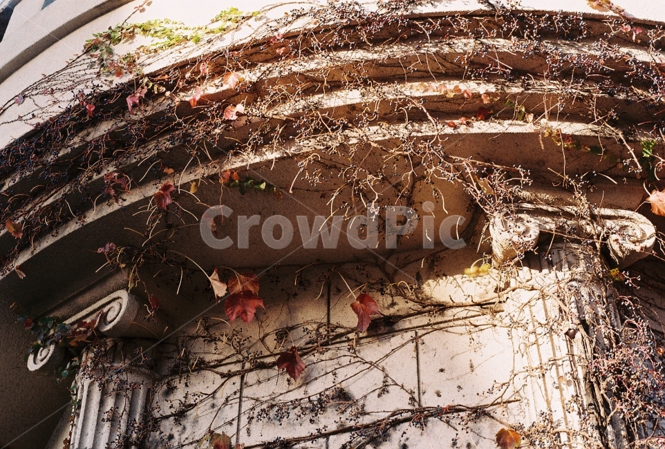 담장,폐허,건물,감성사진,필름사진,NikonEM,가을,계절,fall,autumn,season,식물,자연,plants,nature,감성,sensible,feeling,빈티지사진,빈티지느낌,빈티지감성,vintage,건축물,건물외관,exterior,building,structure,architecture,construction,plant,leaf,잎