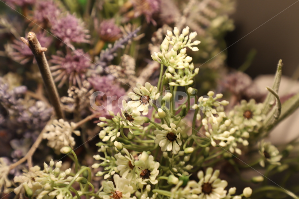 plant,식물,꽃,장식,아트,식물,자연,plants,nature,꽃,flower