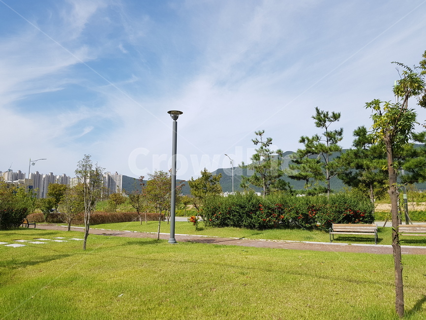 plant,식물,grass,잔디,tree,나무,양산시,거리,nature,자연,outdoors,옥외,하늘,sky,자연,풍경,nature,landscape