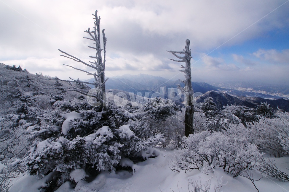 덕유산,설경,푸른하늘,눈,상고대,무주,주목,겨울,계절,winter,season,자연,풍경,nature,landscape,outdoors,옥외,snow