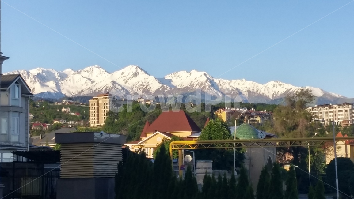 nature,자연,mountainrange,산맥,옥외,outdoors,산,mountain,plant,식물,tree,나무