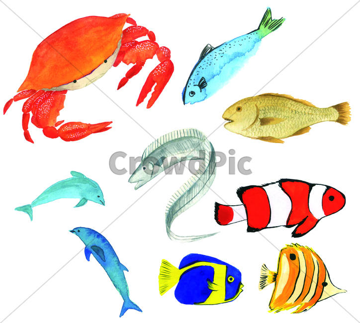 손그림,물감그림,watercolor,fish,물고기,handdrawing,게,crab,꽃게,bluecrab,갈치,열대어,tropicalfish,hairtail,cutlassfish,돌고래,dolphin,porpoise,animal,동물