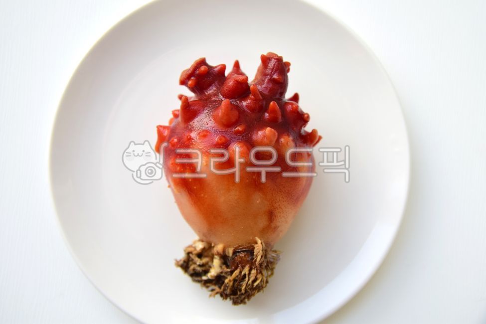 멍게,활멍게,햇멍게,통영,통영멍게,우렁쉥이,수산물,해물,싱싱한,해산물,씨푸드,음식,신선한,식재료,fisheryproducts,food,foodreserves,meal,seafood,marineproducts,음식,식재료,요리,food,cook,meal,dishes,food reserves
