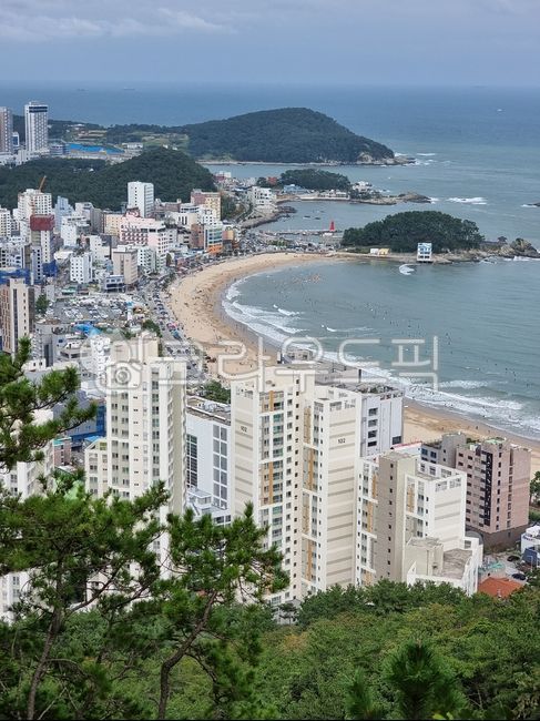 송정해수욕장,와우산,송정옛길전망대,송정엣길,와우산전망대,서핑,바다,송정,산,자연