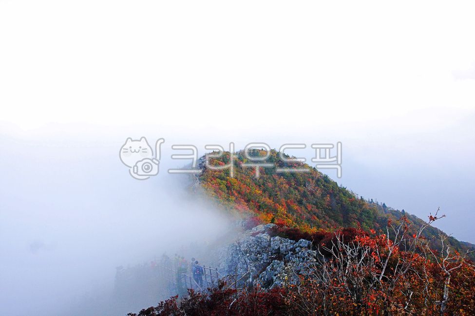 설악산,안개,단풍,배경,가을,자연,옥외,outdoors,nature,경치,scenery,maple,landscape,autumn,fall,view,나무,산,숲,tree,mountain,forest,fog,사람,강원도,국립공원,설악산단풍
