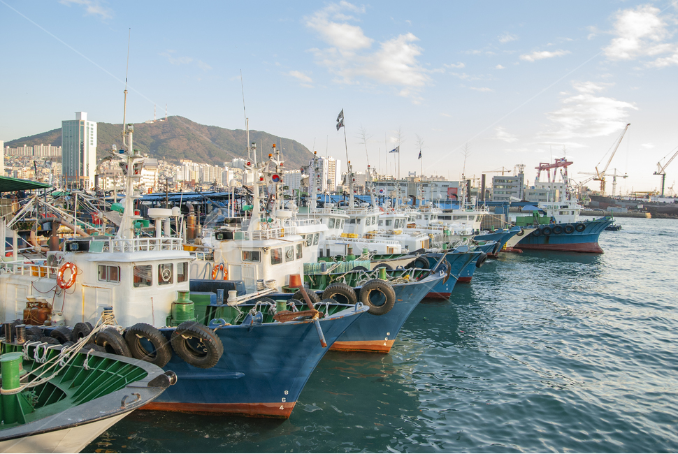 부산항,부산어선,정박어선,어선,항구,부산항구,배,고기배,고기잡이
