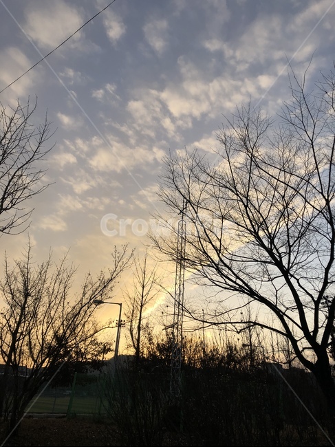 그림자,노을,나무,풍경,하늘,구름