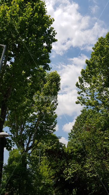 하늘,구름,sky,cloud,blue,맑음,clear,풍경,scene,scenery