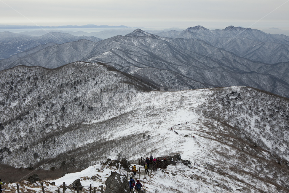 겨울,덕유산,산,풍경,자연,눈,white,winter,landscape,nature,snow,겨울,계절,winter,season,자연,풍경,nature,landscape,사람들,대중,군중,other people,crowd,outdoors,옥외,mountain,mountain range,산맥,slope,경사