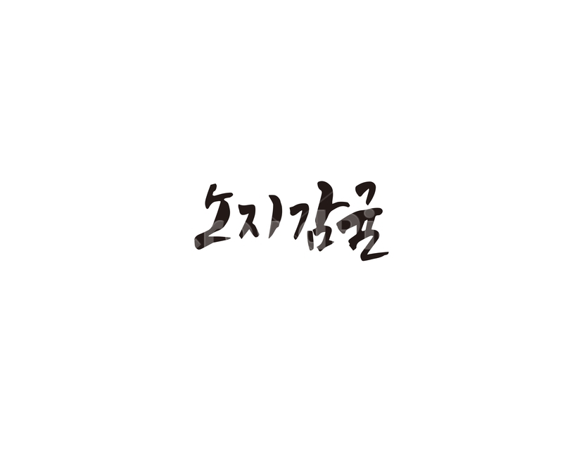 캘리,노지,감귤,특산물,과일,캘리그라피,손글씨,그래픽,일러스트레이션,graphic,illustration,캘리그라피,손글씨,calligraphy