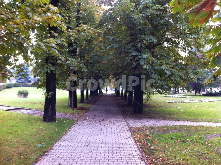 통로,human,path,길,사거리,자연,풍경,nature,landscape