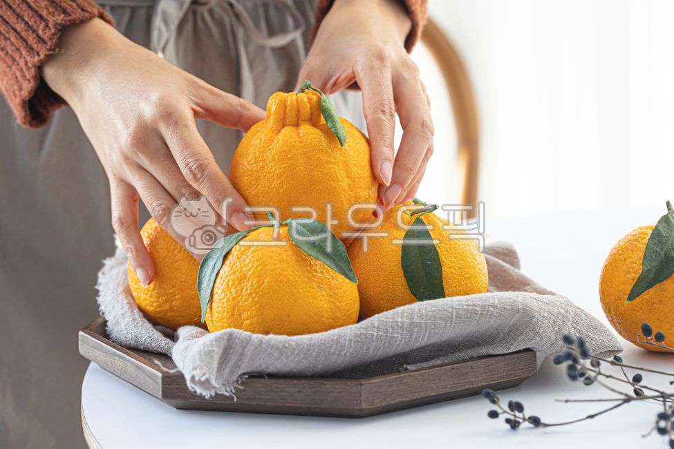 mandarin,Fruit,Jeju,fruit,apron,Hallabong,Orange,vitamin,food,tangerines,orange,leaves,person,hand