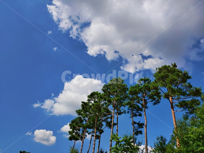 nature,자연,하늘,날씨,sky,구름,weather,옥외