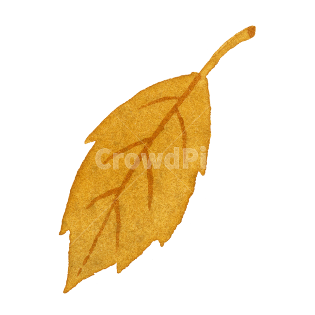 잎,가을,leaf,낙엽,나뭇잎,식물,plant,자연,계절,수채화,손그림,일러스트,fall,autumn,season,illustration,watercolor,가을,계절,fall,autumn,season,그래픽,일러스트레이션,graphic,illustration