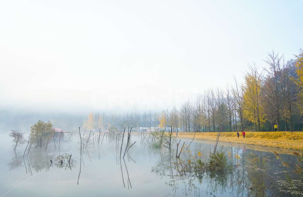 호수,방갈로,낚시,낚시터,여명,안개,가을,계절,새벽,가을,계절,fall,autumn,season,자연,풍경,nature,landscape,한국자연풍경,한국자연경관,korea nature landscape,water,물,outdoors,옥외