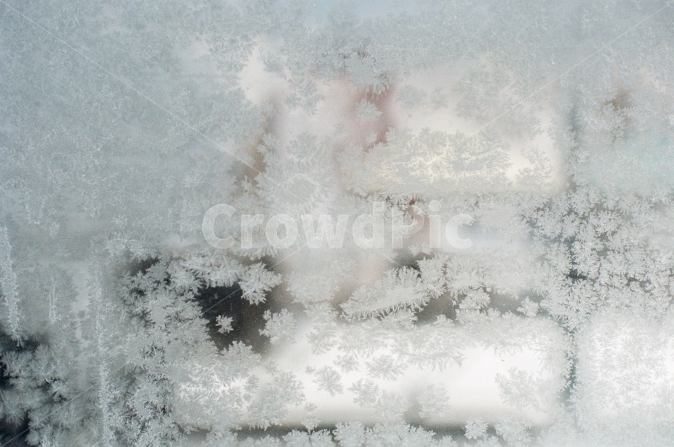 film,ice,성에,눈,겨울,winter,창문,흰색,하얀,얼음,눈꽃,snow,깨끗한,맑은,시원한,cool,filmcamera,nature,자연,겨울,계절,winter,season