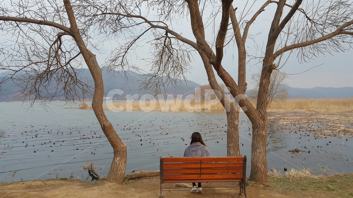 여자,뒷모습,호수,벤치,두물머리,쓸쓸함,나무,뗏목,호주,외로움,lake,나홀로나무,가을