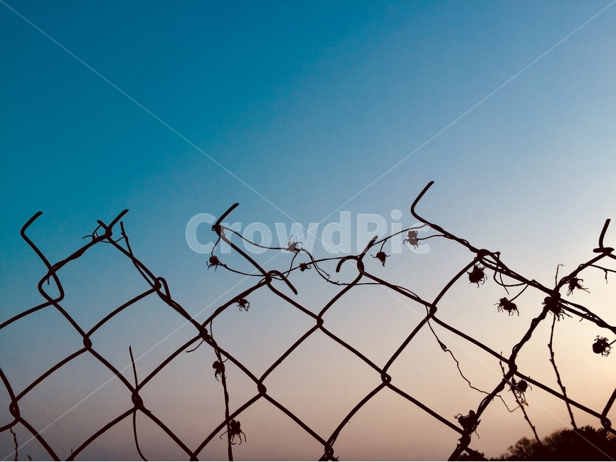 해질녘,노을,하늘,철조망,풍경,sky,blue