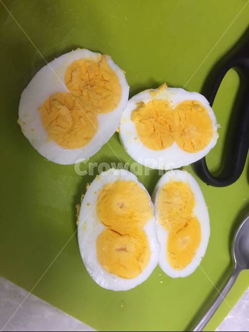 쌍란,네개,음식,달걀,닭