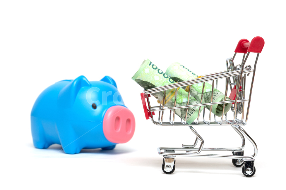 insurance,studio,original picture,directed photo,piggy bank,fee,white background,source,salary,cart,banknote,bank,assets,property,tied money,payment,savings,stock,cash,shopping,10,budget,Oriental,accumulation,single photo,bundle of money,tax,economy,savin