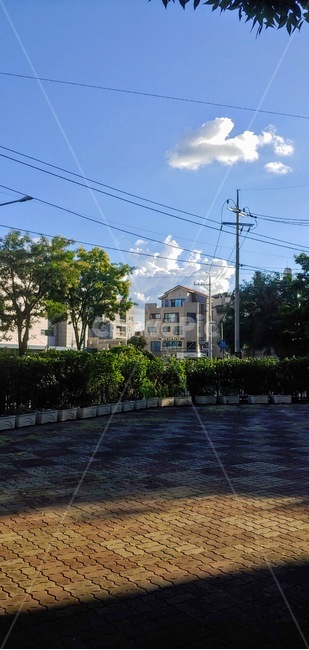 walkway,보도,path,통로,파란하늘