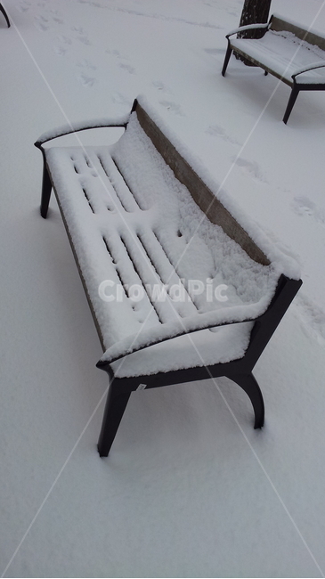 눈,겨울,벤치,휴식,snow,의자,겨울,계절,winter,season,자연,풍경,nature,landscape