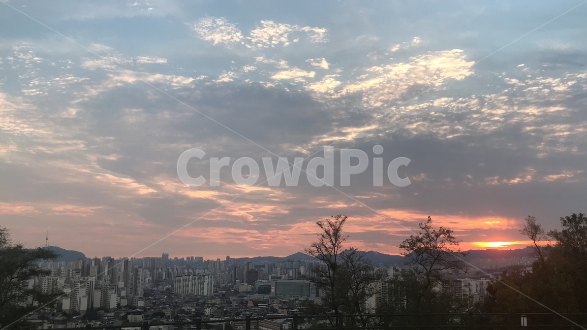 일몰,도시,하늘,해질녘,배봉산,배봉산일몰
