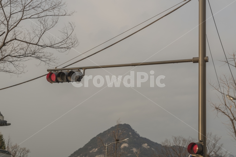 신호등,빨간등,정지,신호,빨강,전등,불,길,거리,차도,교통,교통수단,traffic,transportation,light,빛