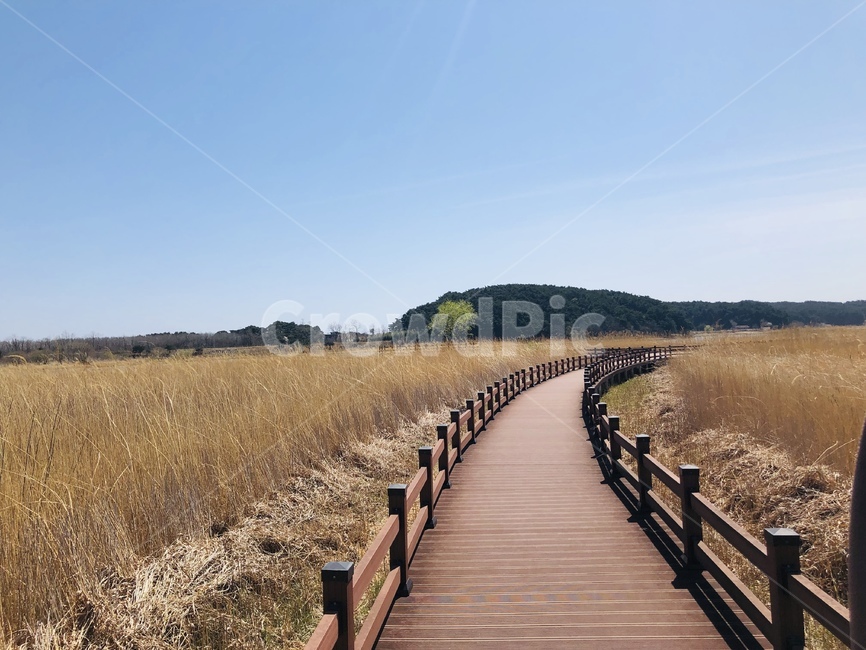 봄,하늘,구름,갈대,길,자연,풍경,nature,landscape,boardwalk,산책로,bridge,다리,building,건물