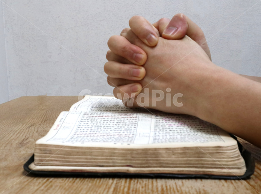 성경책,기도,성경,믿음,바이블,bible,기독교,종교,신념,종교,신앙,religion,belief,faith