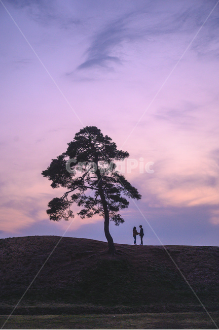 사랑,감성,노을,커플,연인,풍경,야경,연인,커플,사랑,lover,couple,인물실루엣,사람실루엣,character silhouette,human silhouette