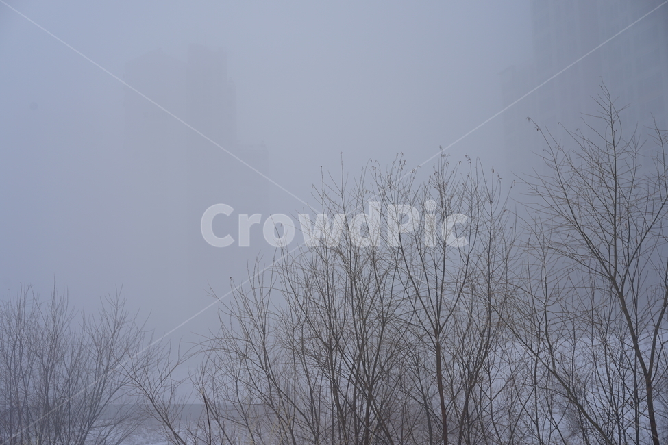겨울,산책,눈,겨울풍경,풍경,snow,추위,날씨,계절,길,일상,풍경사진,스노우,강추위,눈보라,한겨울,자연,겨울,계절,winter,season,자연,풍경,nature,landscape,weather,outdoors,옥외