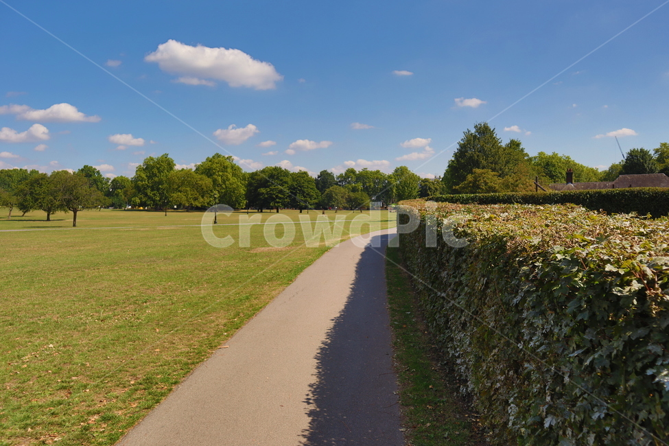 영국,공원,잔디,하늘,자연,풀,길,england,london