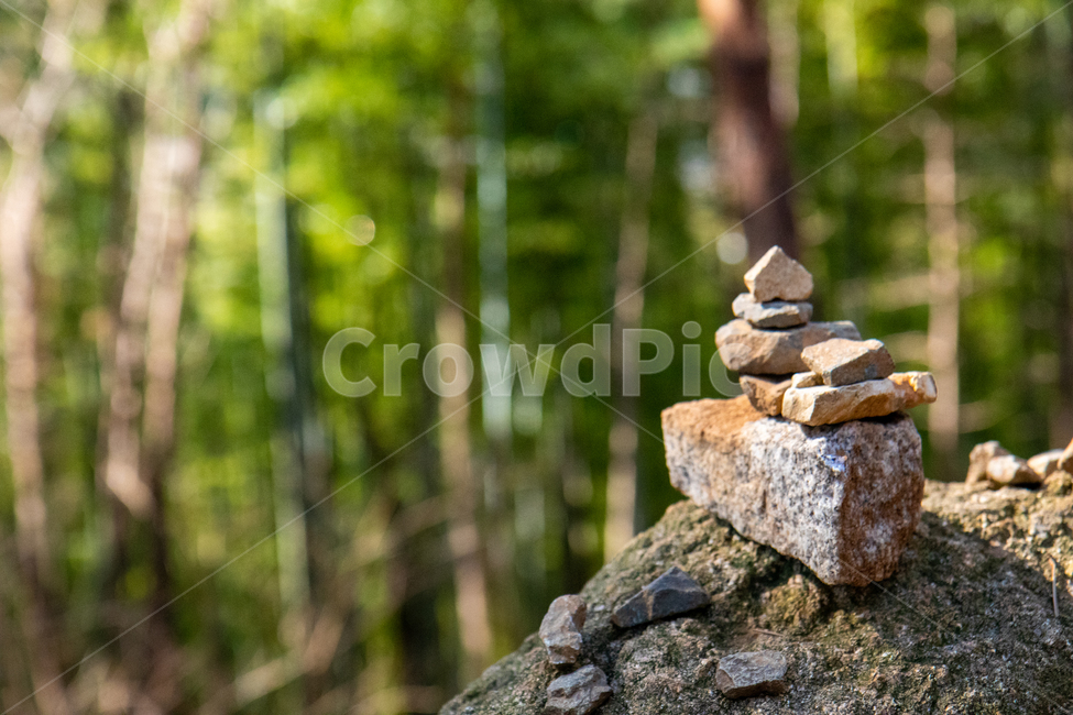 대나무,숲,대나무숲,대숲,돌탑,자연,풍경,nature,landscape,rubble,파편