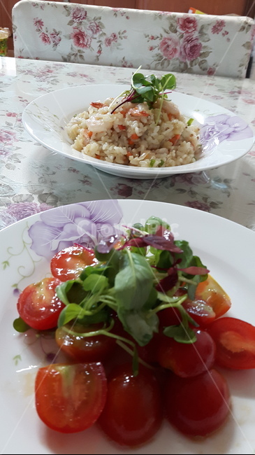 요리,음식,식사,저녁식사,식단,음식,식재료,요리,food,cook,meal,dishes,food reserves,채소,야채,vegetables,한식,한국음식,한국요리,korean food,korean dishes,korean meal,korean cook