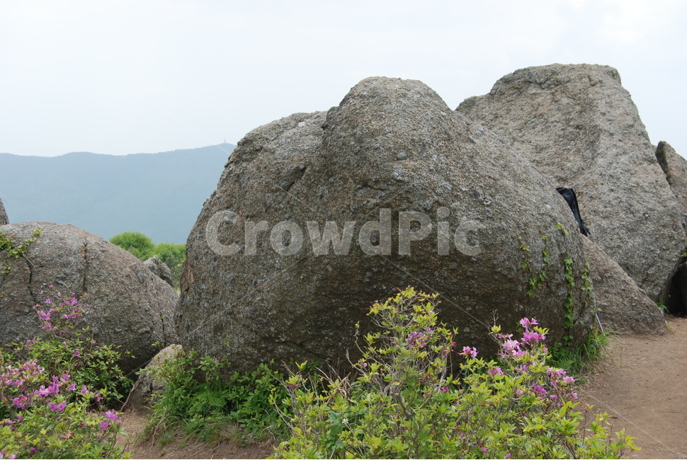 초암산,보성군,봄,자연,바위,자연,풍경,nature,landscape,한국자연풍경,한국자연경관,korea nature landscape